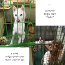 꽃길프로젝트 이미지