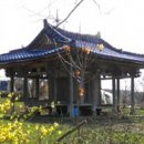 대은정(大隱亭) 이미지