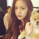 민효린 카카오 검색결과