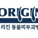 오리진 동물피부과병원 이미지