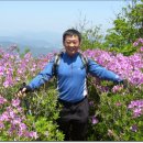 쌍용서비스프라자용봉코너 이미지