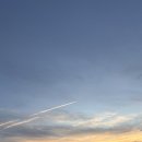 다리 bridges | 포르투갈 여행 4일차 : 포르투시내 구석구석 돌아다니기