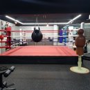 성남 복싱 체육관 이미지