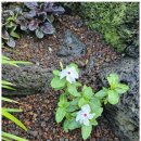 스테이 제주이음 이미지