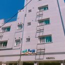 강동-천호-81 이미지