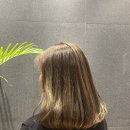 헤어 세이지(Hair sage)