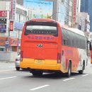 미소항공여행사 - 중구 서소문로 95 | 미소항공여행사