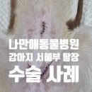 나만 애 동물병원 이미지