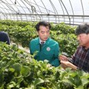 인한농장 이미지