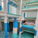 센토르7 이미지