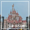 주식회사 알오티 | 일본 도쿄 디즈니랜드 입장 가격 후기 입구 라푼젤