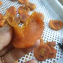 말랑단단 이미지