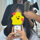 남자친구 부모님 인사 앞두고 다녀온 강남미용실, 살롱에이 강남점 승아원장 커트 후기