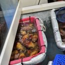 황지로 | [태백 맛집] 신선함이 남다른 '태백회수산' 현지인 추천 횟집, 스끼다시 대만족 후기