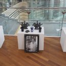 경상북도청 동락관 이미지