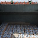 군산항 떠나는 우리쌀 1.5만t… 로힝야 난민 기아 위기 지원 이미지