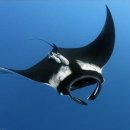 추억의 팝송 이미지