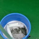 완도읍-11 이미지