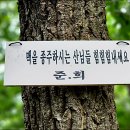 뒷골2로 이미지