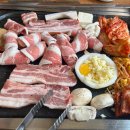 탐라도야지 이미지