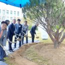 아로새기다 이미지