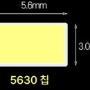 케빈라이팅