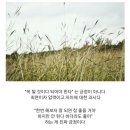 그냥봄날 이미지