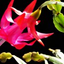 산너머남촌에는 이미지