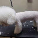 핫 독(HOT DOG) 이미지