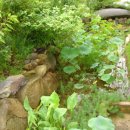 연못이 있는 집 이미지