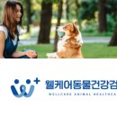 웰케어동물병원 이미지
