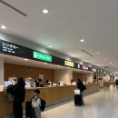 문창약국 | 시즈오카 공항 기념품 면세점 쇼핑 동전처리 후지산뷰 전망대 후기