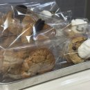 푸름켄넬 이미지