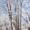 ＜설경산＞- 99차 가평 명지산(明智山)~명지지맥 설산의 상고대, 2월 16일 탐방합니다, 이미지