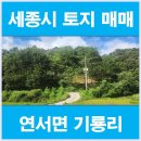 우리땅공인중개사사무소 이미지