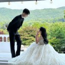 작가와 함께하는 서 이미지