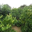 삼달보건진료소 이미지