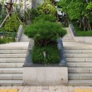 행정사사무소 재수 이미지