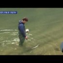 법률사무소조은