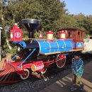 제주희동이네 이미지