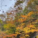 영월 상동 꼴두바우에서 예미역까지 55km 라이딩 이미지