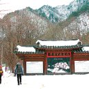 백담표고황태 이미지