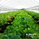 추월농장 이미지