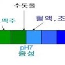 임신육아 / 임신기의 영양 및 물 관리 이미지