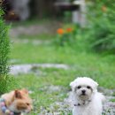 조각가박시동 미술관 이미지