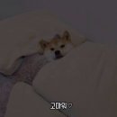 라프랑스