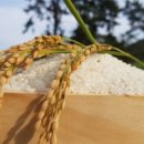 미양농장 이미지