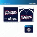 소프트윙즈 이미지