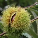 청도군-20 이미지