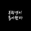 크리에이터J 이미지